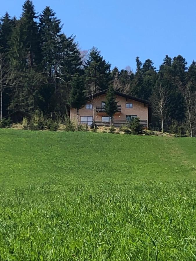Ferienhaus Am Waldrand Von Egg Bregenzer Wald المظهر الخارجي الصورة