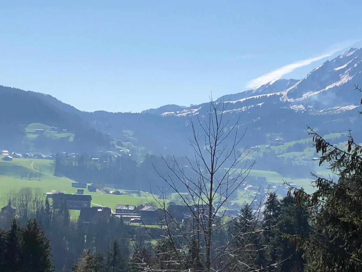 Ferienhaus Am Waldrand Von Egg Bregenzer Wald المظهر الخارجي الصورة