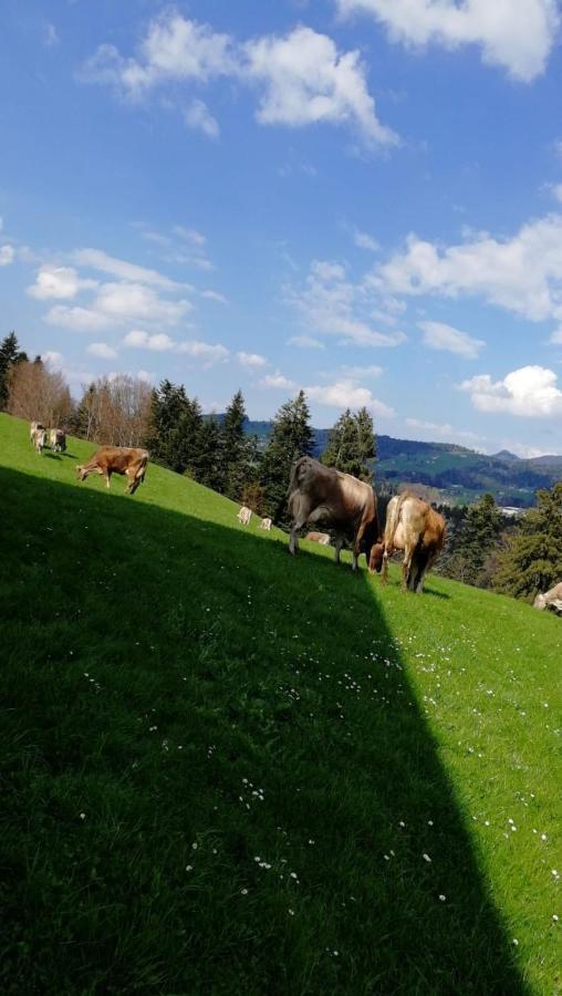 Ferienhaus Am Waldrand Von Egg Bregenzer Wald المظهر الخارجي الصورة